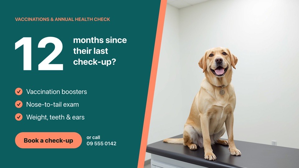 Annual check reminder digital signage template (landscape): Big-number vaccination and annual health check reminder