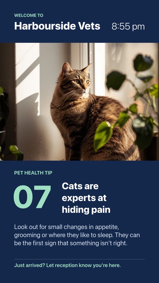 Waiting room health tip digital signage template (portrait): Portrait waiting room welcome with a clock and a numbered pet tip